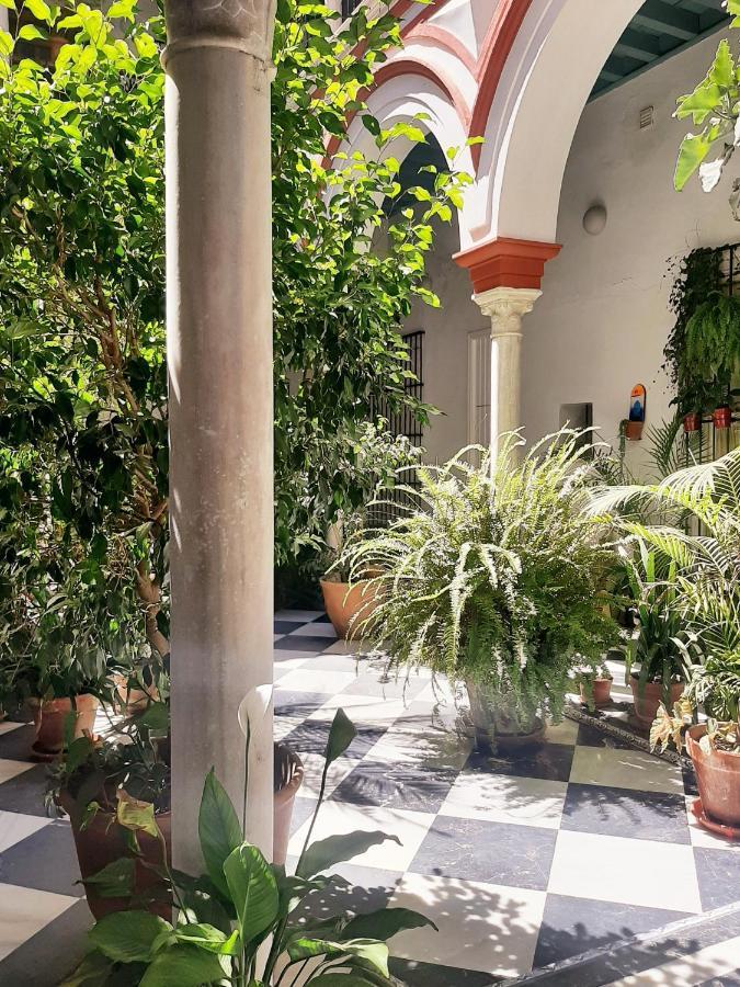 Downtown Loft In A 16Th Century Convent Apartment Seville Exterior photo